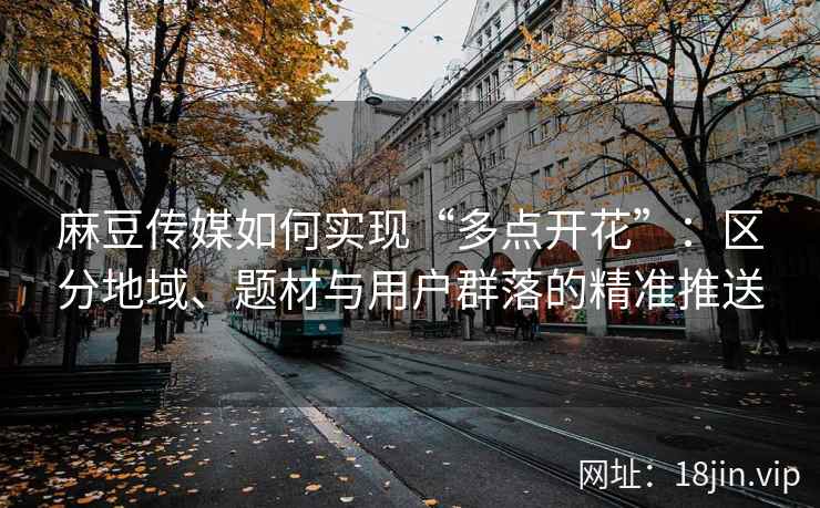 麻豆传媒如何实现“多点开花”：区分地域、题材与用户群落的精准推送