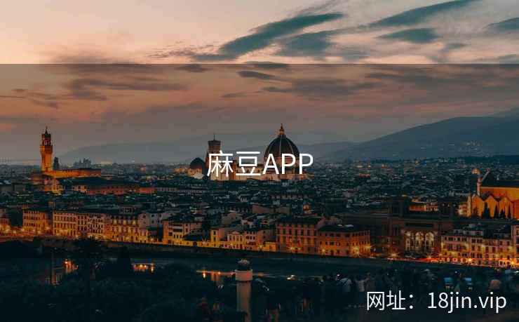 麻豆APP